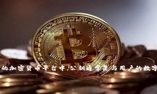 在加密货币和区块链领域，了解公钥的位置以及如何获取它是非常重要的。在Tokenim这样的加密货币平台中，公钥通常是与用户的数字资产钱包相关联的。接下来，我将详细介绍公钥的相关信息，以及如何在Tokenim中找到它。

### 如何在Tokenim中找到公钥