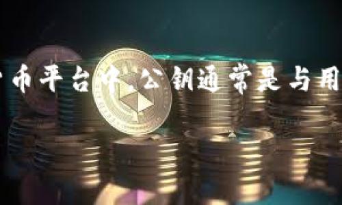 在加密货币和区块链领域，了解公钥的位置以及如何获取它是非常重要的。在Tokenim这样的加密货币平台中，公钥通常是与用户的数字资产钱包相关联的。接下来，我将详细介绍公钥的相关信息，以及如何在Tokenim中找到它。

### 如何在Tokenim中找到公钥